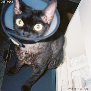 人妻裸模在线播放
